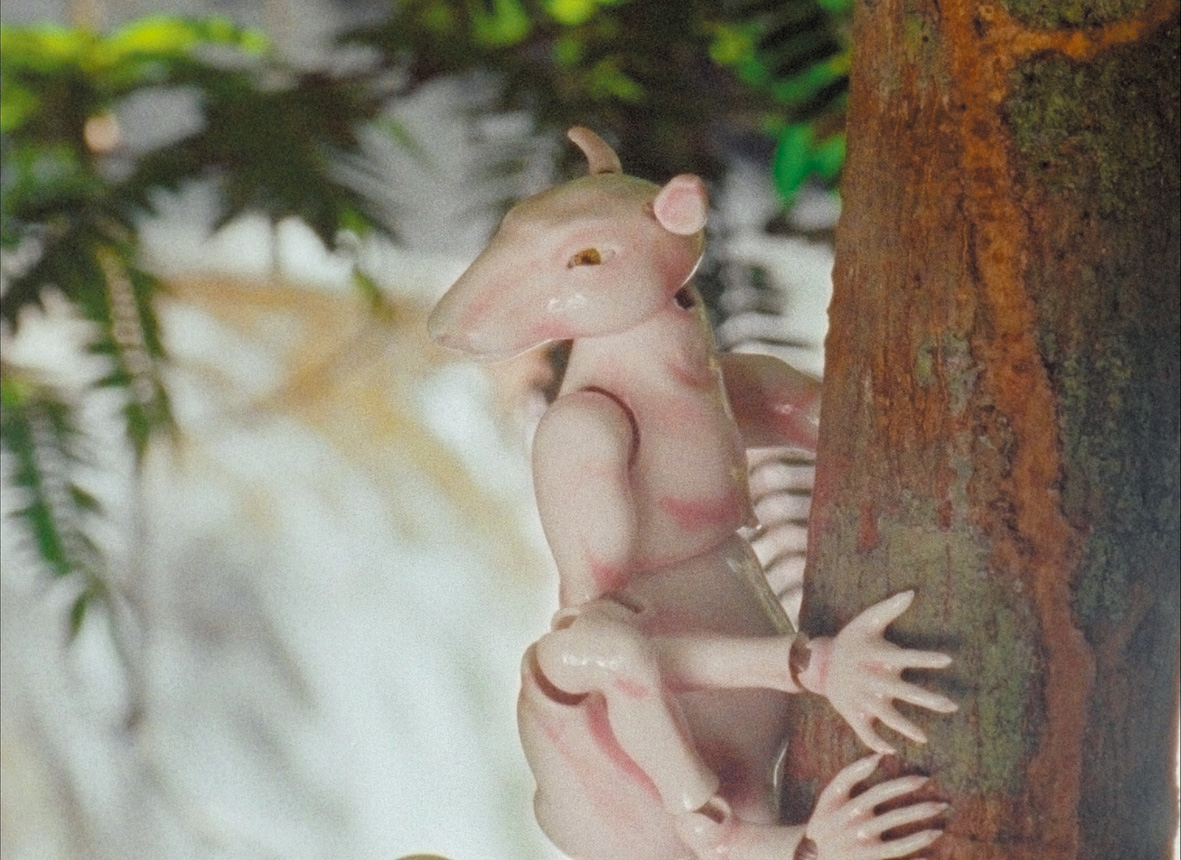 ANI-j34-_Winter-in-the-Rainforest_